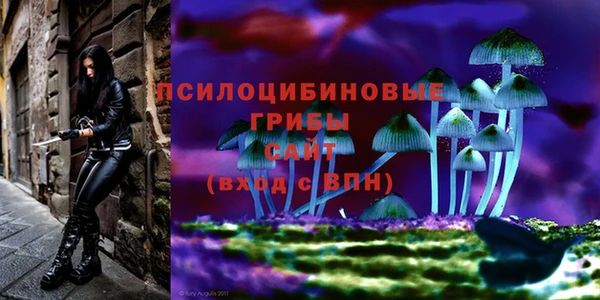 дживик Алексин