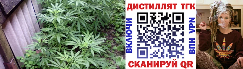 где купить наркоту  Дмитров  ТГК Wax 