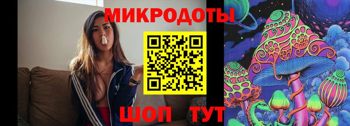 Галлюциногенные грибы Psilocybine cubensis Дмитров